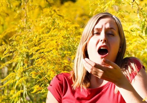 Hayfever and contact lenses